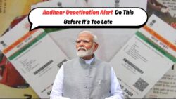 यह कदम मिस किया तो निष्क्रिय हो जाएगा आपका आधार कार्ड – अभी चेक करें स्टेटस