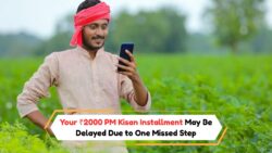 ₹2000 पीएम किसान भुगतान e-KYC के बाद अटका? 20वीं किस्त पाने के लिए अभी करें ये कदम!