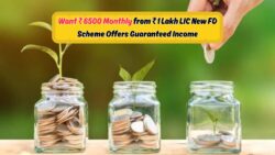 LIC FD Scheme: हर महीने ₹6,500 कमाएं ₹1 लाख के निवेश पर, जानिए नया प्लान!
