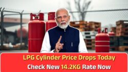 आज के 14.2KG LPG सिलेंडर रेट्स: प्रमुख शहरों में कीमतों में गिरावट का फायदा उठाएं!