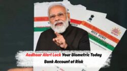 आधार के नए नियम 2025: बायोमेट्रिक्स लॉक करें वरना बैंक बैलेंस खोने का खतरा!