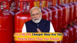 आज गिरा LPG गैस सिलेंडर का दाम – जानिए आपके शहर में नए 14.2 KG रेट