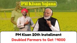 PM Kisan Yojana: किसानों को अगले भुगतान में मिलेगा ₹2000 की जगह ₹4000, जानिए कैसे मिलेगा फायदा