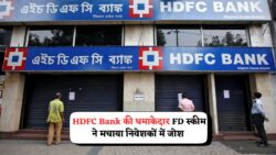 HDFC Bank की 450-दिन की FD योजना पर ₹10 लाख जमा पर ₹1.13 लाख का रिटर्न, जानें कैसे!